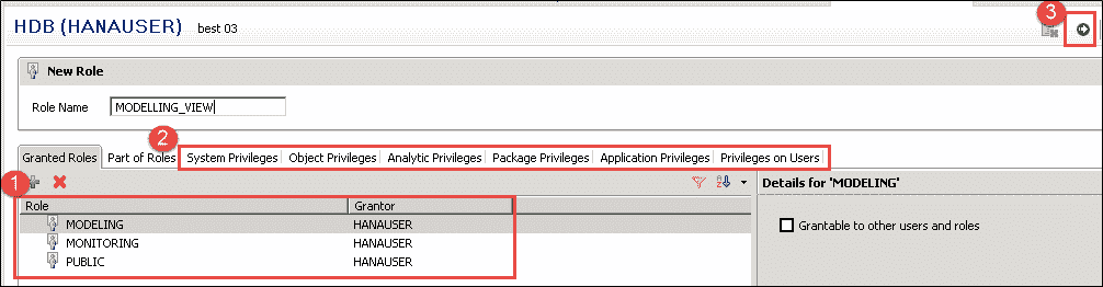 SAP HANA Security: Complete Tutorial
