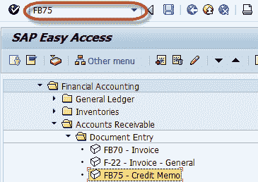 FB75 in SAP: Guide to Post a Sales Returns – Credit Memo