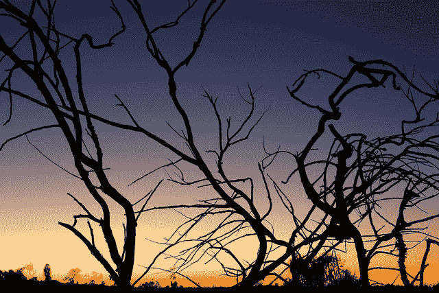 How to Visualize a Deep Learning Neural Network Model in Keras