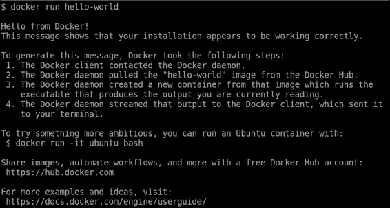 Testing the Docker installation