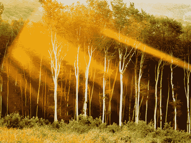 What You Think You Know About Deep Learning Is A Lie
