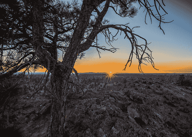 How to Develop Convolutional Neural Network Models for Time Series Forecasting