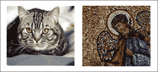 Input images