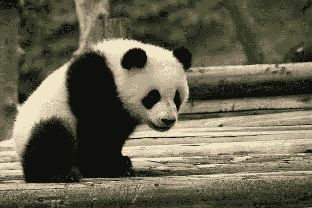 pandas for data analysis