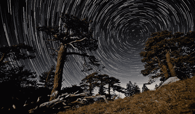 White Noise Time Series with Python