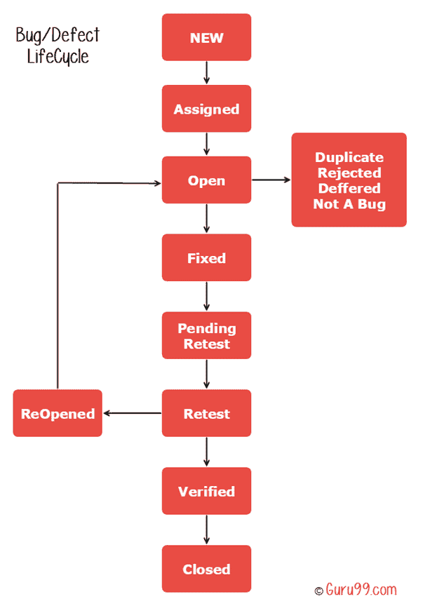 Defect Life Cycle