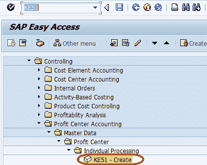 SAP Profit Center Tutorial: Create, Group, Posting & Planning