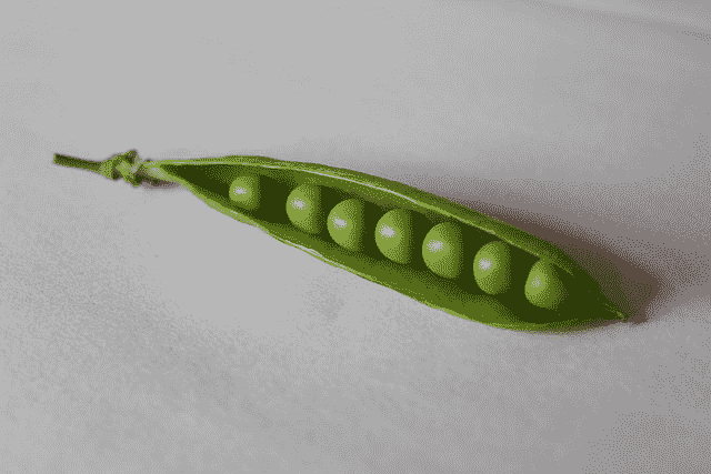Start With Gradient Boosting, but Always Spot Check Algorithms and Configurations