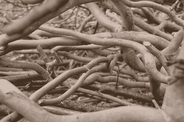 Avoid Overfitting By Early Stopping With XGBoost In Python