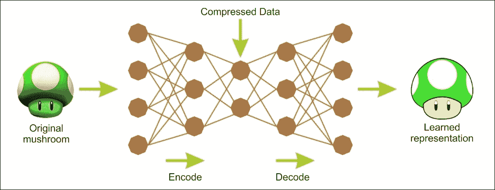 AutoEncoders