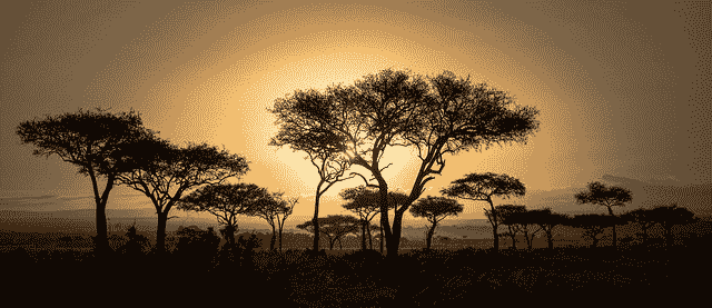 How to Develop a Skilful Time Series Forecasting Model