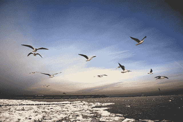 Gentle Introduction to Vector Norms in Machine Learning