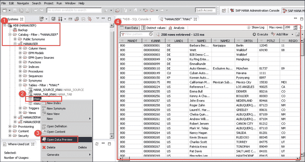 SAP DS (Data Services) in HANA