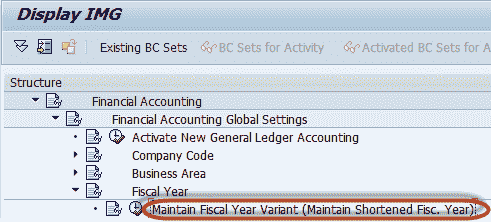 Create Fiscal Year Variant & Assign to Company Code in SAP: Complete Tutorial
