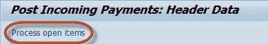 How to post Customer Incoming Payments F-28 in SAP