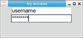 tkinter entry password