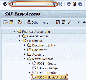 Customer Master Data Tutorial: Create, Display, Block, Delete in SAP