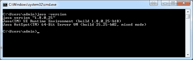 java version command result