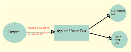 Fuzz Testing