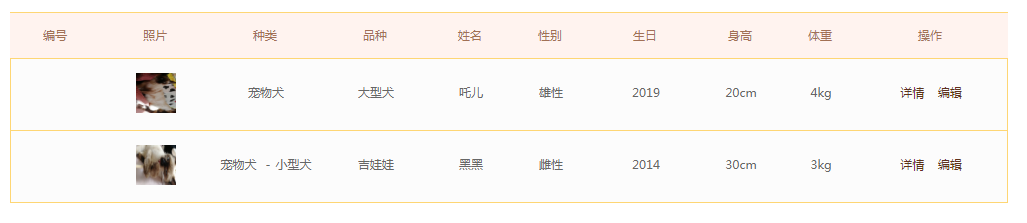 我的宠物