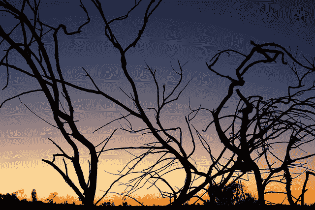Data Preparation for Gradient Boosting with XGBoost in Python