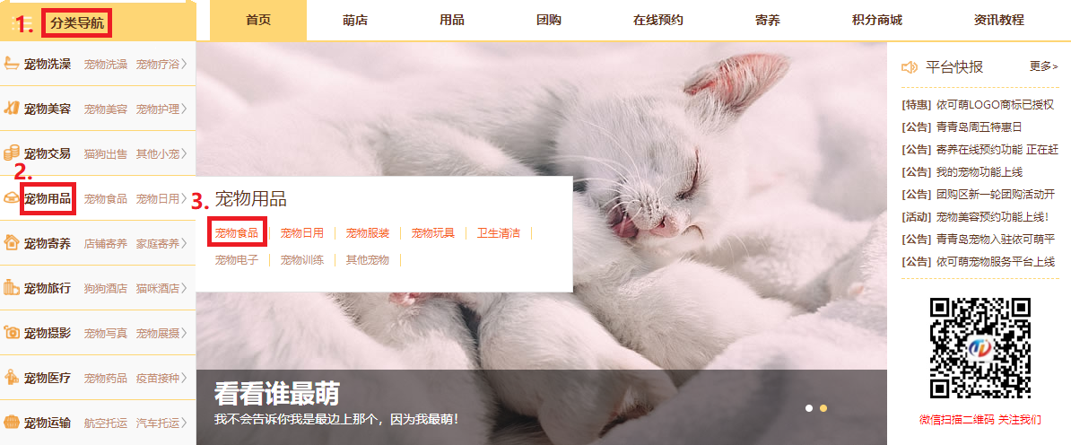 宠物食品