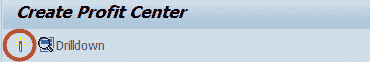 SAP Profit Center Tutorial: Create, Group, Posting & Planning