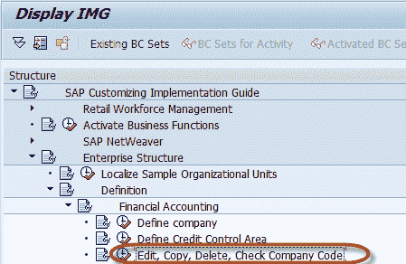 How to Create a Company Code in SAP & Assign Company Code