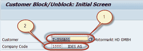 Customer Master Data Tutorial: Create, Display, Block, Delete in SAP