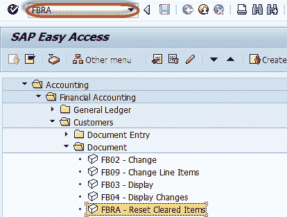 FBRA: How to Reset Cleared Items in SAP