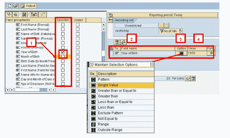 SAP AD HOC Query Tutorial (S_PH0_48000513)