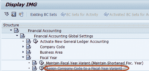 Create Fiscal Year Variant & Assign to Company Code in SAP: Complete Tutorial
