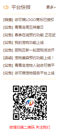 平台快报