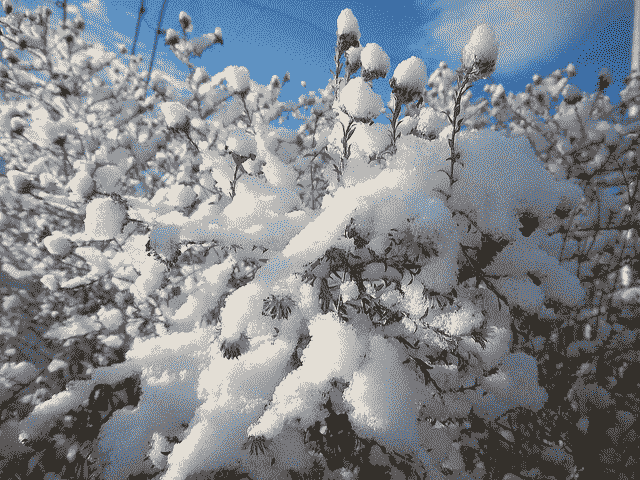 How to Identify and Remove Seasonality from Time Series Data with Python