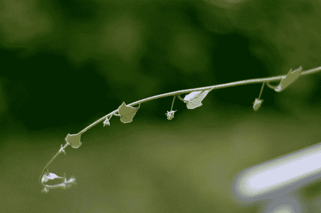 How to Develop Your First XGBoost Model in Python with scikit-learn