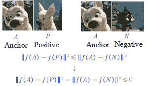 Triplet Loss