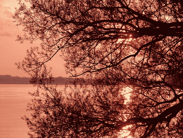 How to Configure the Gradient Boosting Algorithm