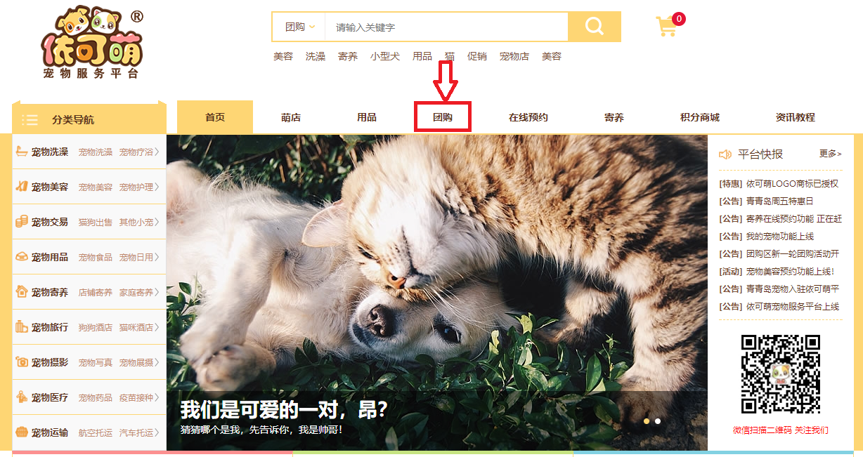 团购