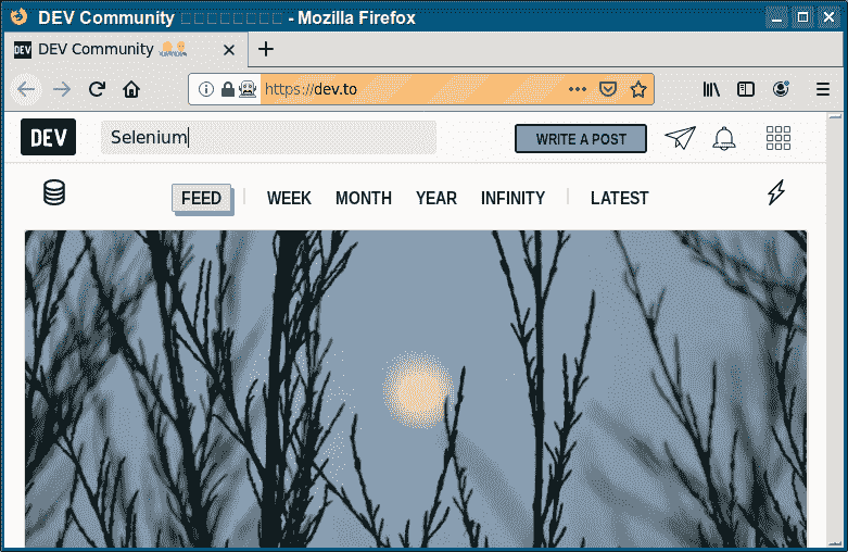 selenium firefox