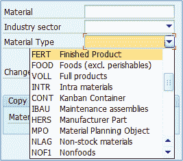 Introduction to Master Data in SAP