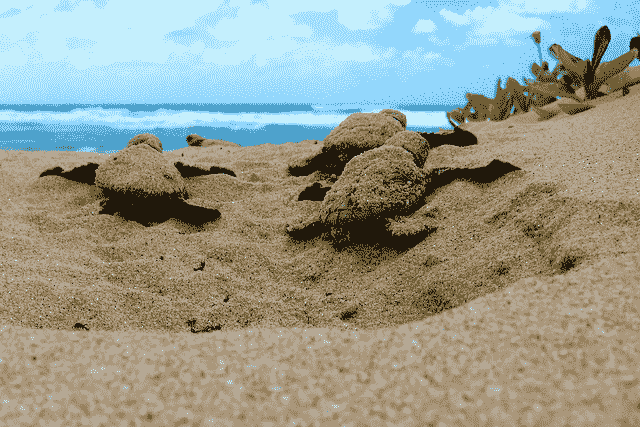 Time Series Forecasting as Supervised Learning