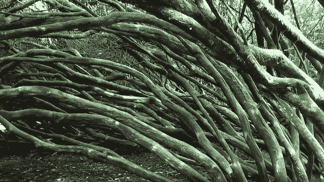 How to Evaluate Gradient Boosting Models with XGBoost in Python