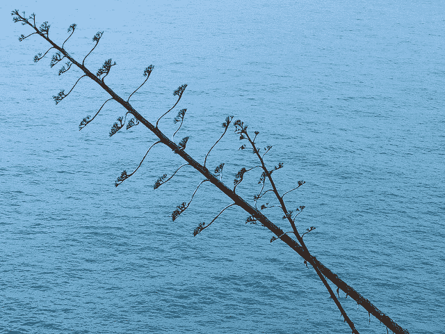 Feature Importance and Feature Selection With XGBoost in Python