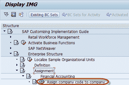 How to Create a Company Code in SAP & Assign Company Code