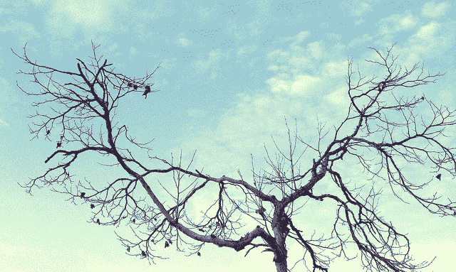 How to Save Gradient Boosting Models with XGBoost in Python