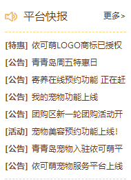 平台快报