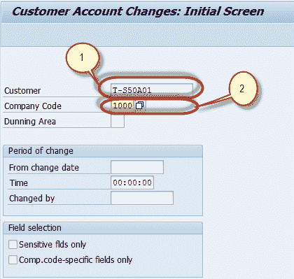 Customer Master Data Tutorial: Create, Display, Block, Delete in SAP