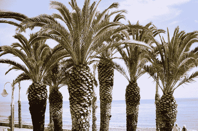 How to Use Features in LSTM Networks for Time Series Forecasting