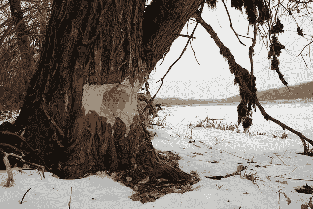 How to Tune the Number and Size of Decision Trees with XGBoost in Python