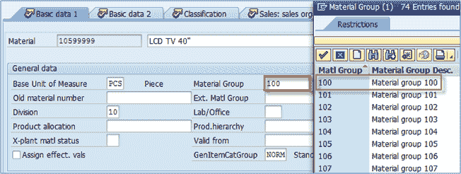 Introduction to Master Data in SAP